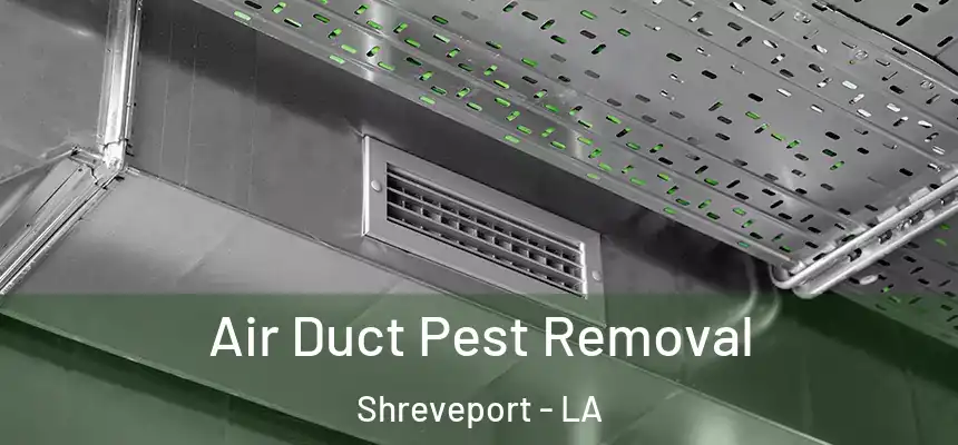 Air Duct Pest Removal Shreveport - LA