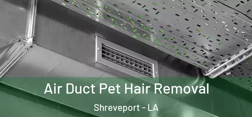  Air Duct Pet Hair Removal Shreveport - LA