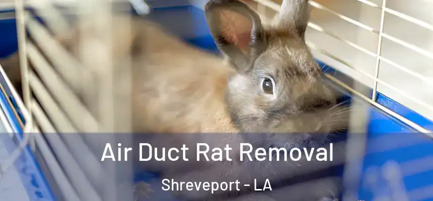  Air Duct Rat Removal Shreveport - LA