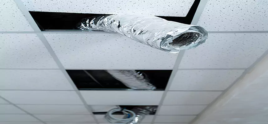 Affordable HVAC Sanitizing After Pest Removal in Shreveport