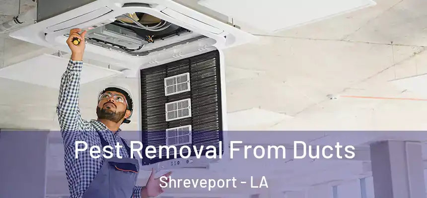  Pest Removal From Ducts Shreveport - LA