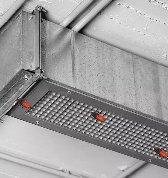About Air Duct Cockroach Removal in Shreveport, LA
