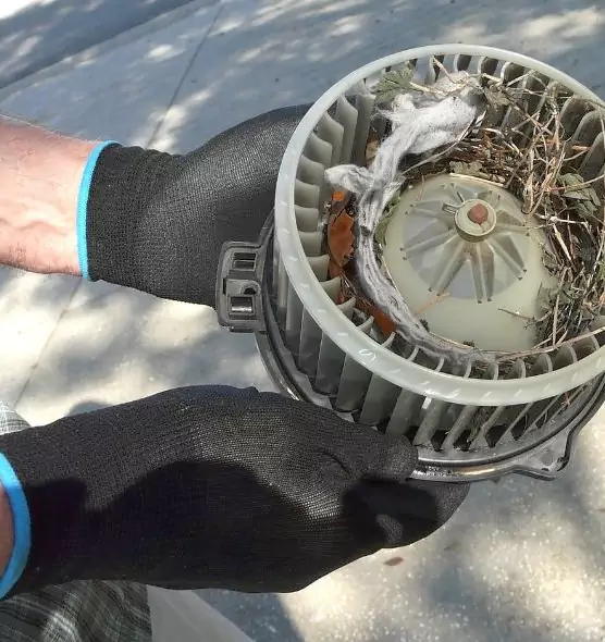 About Air Duct Rat Removal in Shreveport, LA