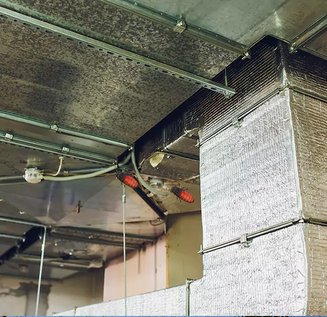 Why Homeowners & Businesses Trust Us Shreveport, LA?